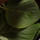 꼴통곱창 - 동두천시 | 꼴통곱창