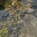 무주펜션선앤문 | [전북 무주여행]1일차_선앤문펜션, 무주돌짬뽕, 세심대계곡