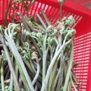 달성보약산민박 이미지