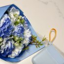 (주)원일아이 | 여행 필수템 추천! 라이원 일체형 보조배터리 고속충전 휴대용 보조배터리 후기