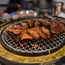 신마포갈매기제주 - 제주시 신성로13길 31 | 신마포갈매기제주