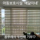 예닮이네 이미지