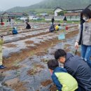 용수농장 이미지