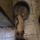 평강카크리닉 이미지