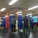 푸노키즈복싱 이미지