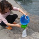 보령시보건소 이미지