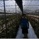 박종성농장 이미지