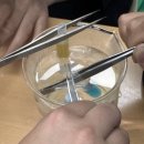 (주)황샘바이오 | 2025 미과도 학생들의 바이오∙의과학실험경연대회 출전기 🏆