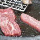 수원지식당