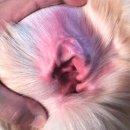 신남케어 이미지