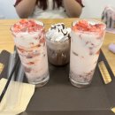 혜민동물병원 | 또 한교동수준