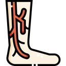 라온약국 이미지