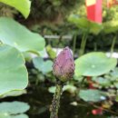 삼계초등학교 이미지