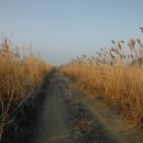 은수포낚시터 이미지