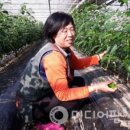 정명농장 이미지