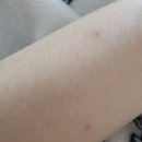 목동사이렌의원 이미지