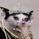 경기도 수원시 권선구 경수대로185번길 26 (세류동) | 수원 세류동네일 맛집: 핀네일