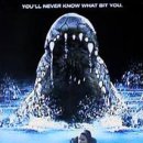 플래시드인 이미지