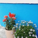 낭만별장 38 이미지