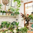 대한꽃집 이미지