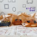 폰테리아 이미지