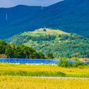 거제옥산숲 이미지