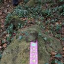 소안도 미소펜션 이미지