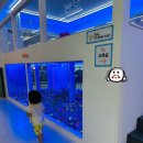 롯데쇼핑(주)롯데마트진주점 | 뉴코아아울렛 키즈카페 키즈다쿵2창원점 _ 내돈내산 아이와가기좋은곳 코인 받아놀기