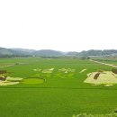 라탄공예 이미지