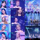 퀸덤 글로벌