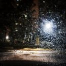 다니엘목장 이미지