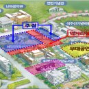 평화의광장 농구장