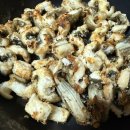 화성락실내바다낚시터 | [내돈내산경험]초심자의 행운을 맛 본 화성락실내바다낚시터