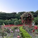 중유초등학교 이미지