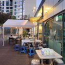 싱싱오징어바다 이미지