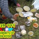 가락장(중화요리) 이미지