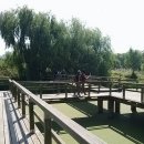 원조마포갈비 이미지