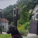 까사미오 이미지