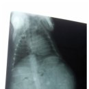 양평가축병원 이미지