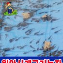 월악산농장 네이버블로그