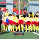 도남초등 이미지