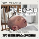 쫄랑쫄랑 | 제주 로열프린세스 산후조리원 라벤더 실버룸 이용 후기, 밥이 잘 나오기로 유명한 이유