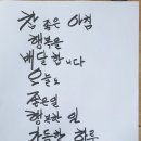 다미보화 이미지
