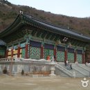 보문사 티스토리