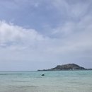 홀딱상점 | 제주도액티비티 제주도서핑업체 추천 제주협재서프 인생 첫 서핑 후기