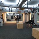 필라핏 156 이미지