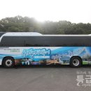 봄꽃힐링투어 이미지