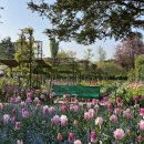 모네의정원 이미지