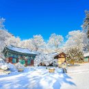 백두스포츠마사지 이미지