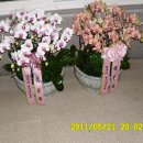 용문산 펜션 이미지